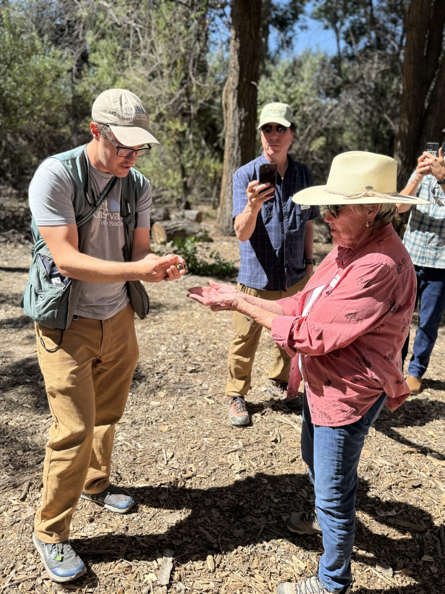 Commissioner Josie Heath preparing to release a newly-banded Magnolia Warbler