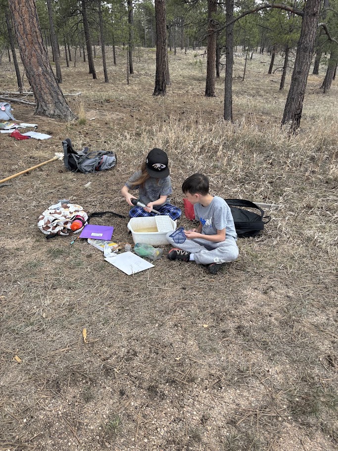 Students enjoying the outdoor-based curriculum at School in the Woods