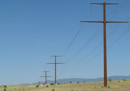 right-of-way powerlines that are tall wooden posts with wires connecting each post. Posts are in a field with mountains in background