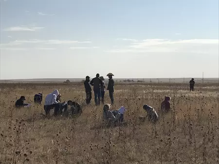 high school students in a rural field doing field work